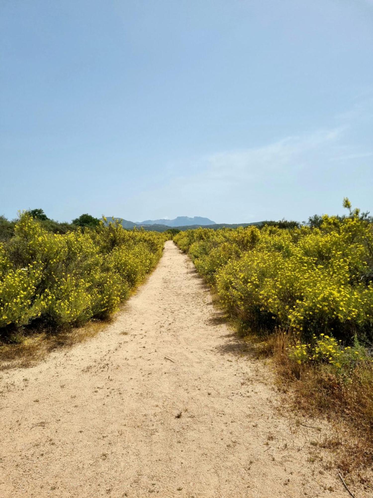 Appartamento Olbia Vecchie Saline Murta Maria Exterior foto
